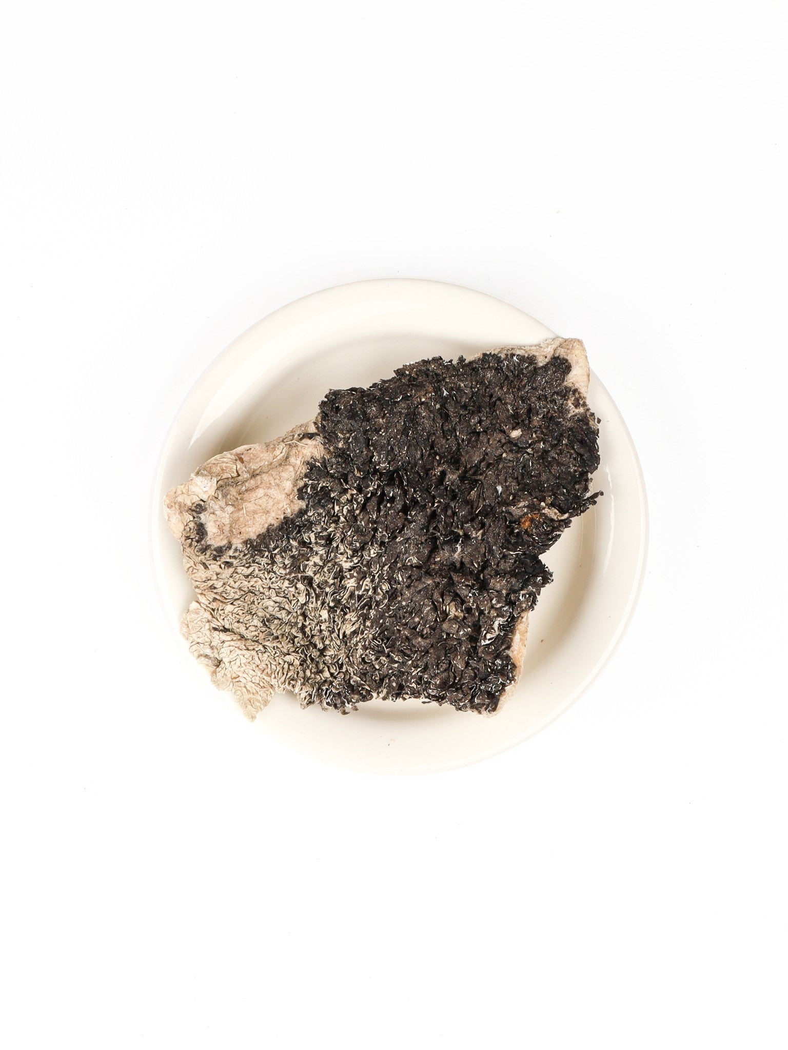 chewtrue-freeze-dried-beef-ear-chews