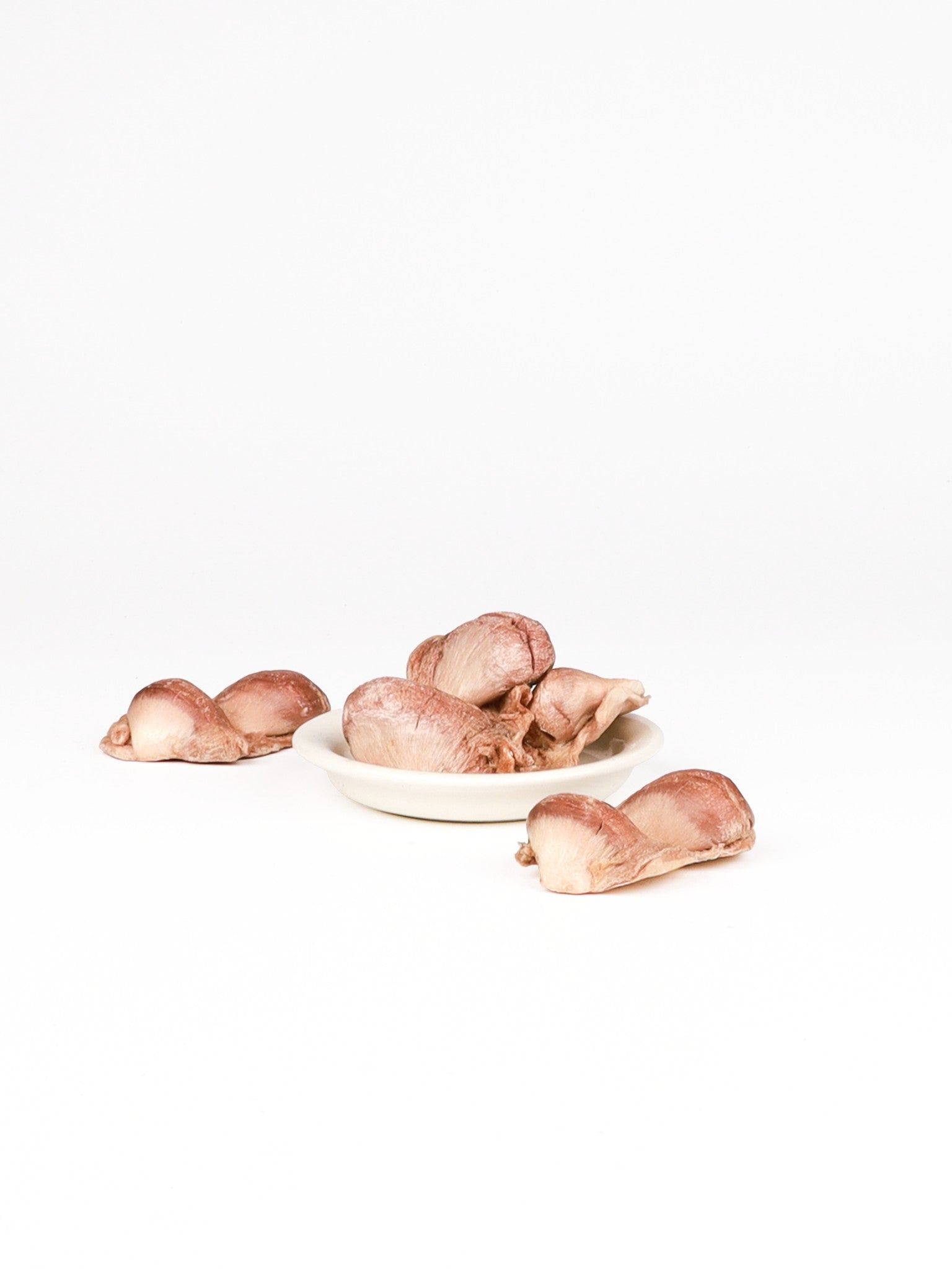 chewtrue-freeze-dried-duck-gizzard-chews