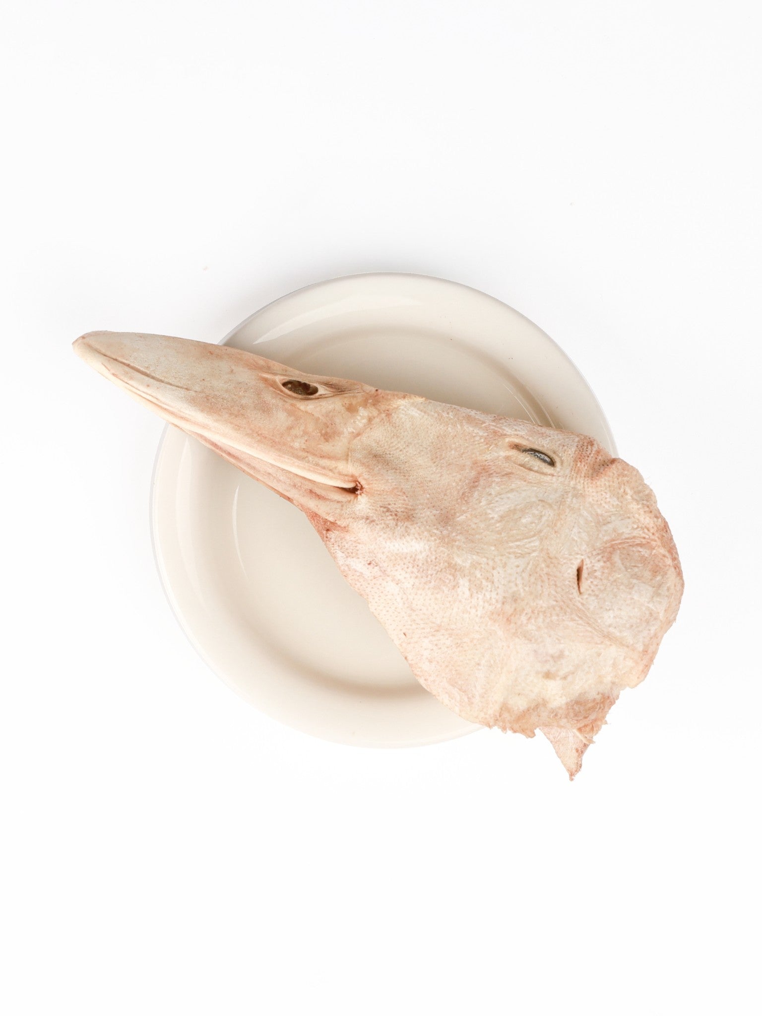 chewtrue-freeze-dried-duck-head-whole-prey-treat