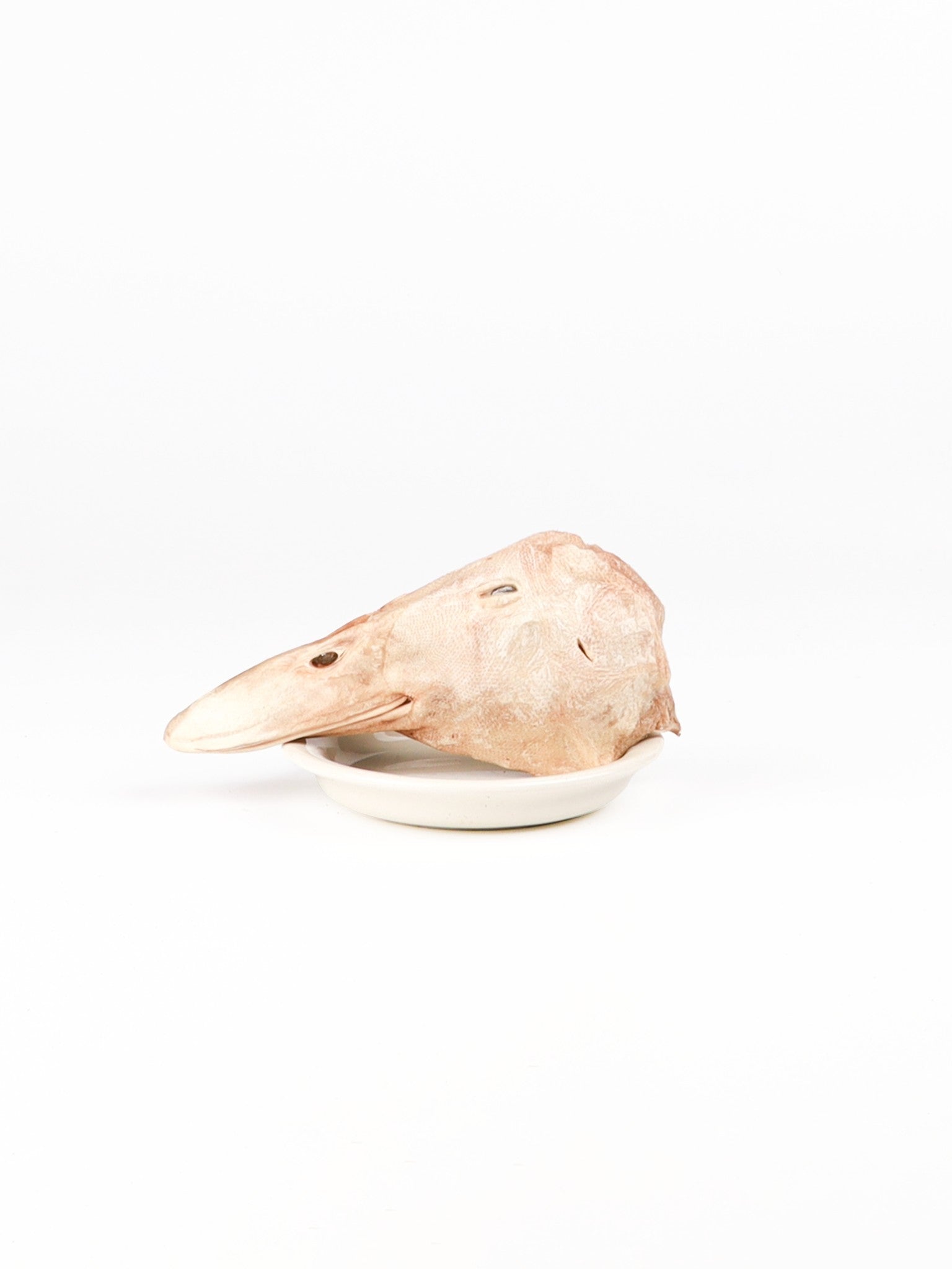 chewtrue-freeze-dried-duck-head-whole-prey-treat