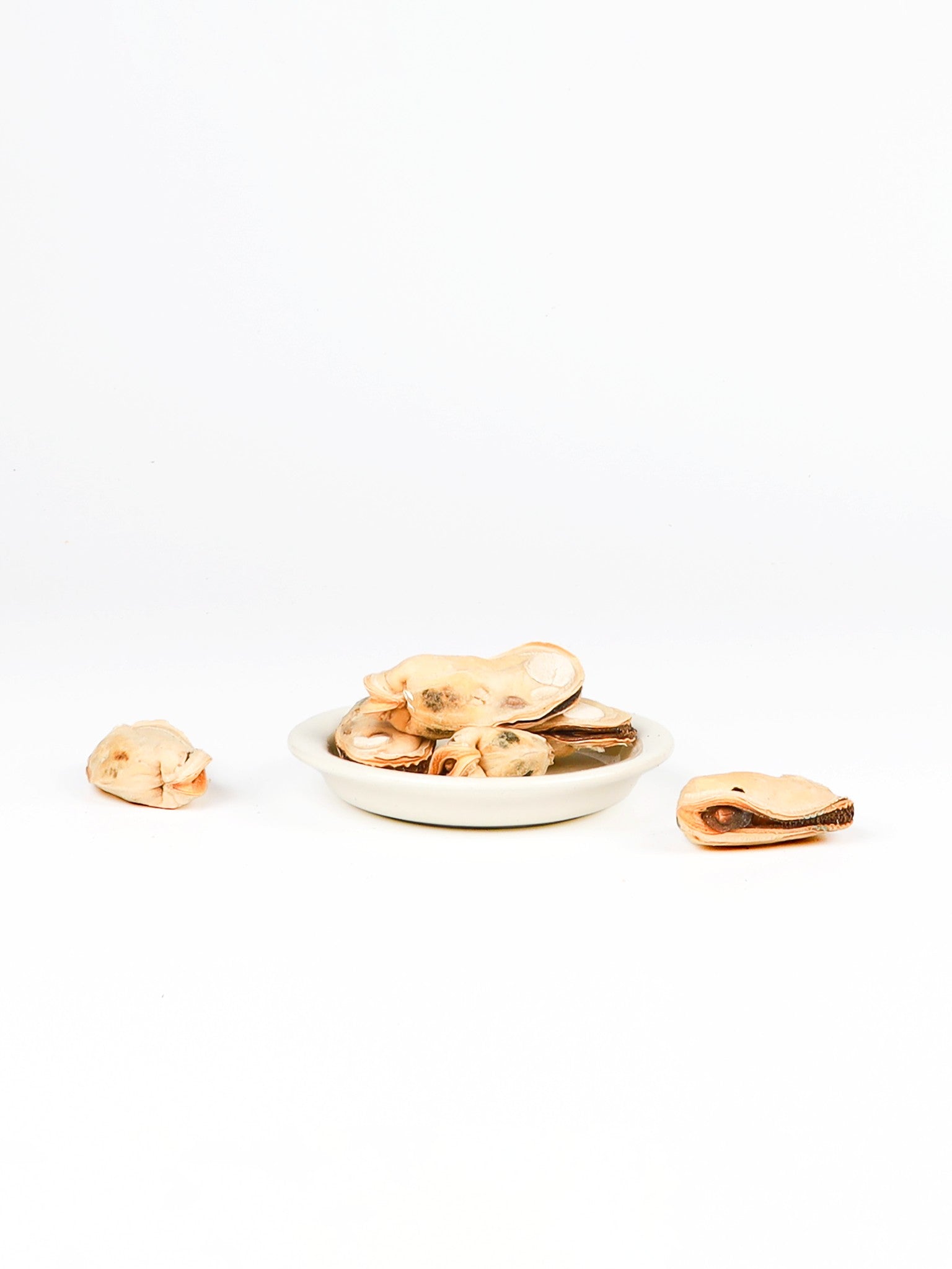 chewtrue-freeze-dried-skin-on-salmon-chunks