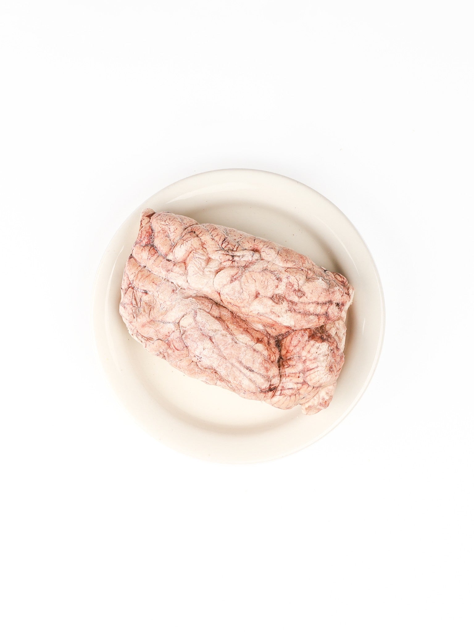 chewtrue-freeze-dried-pork-brain-organ