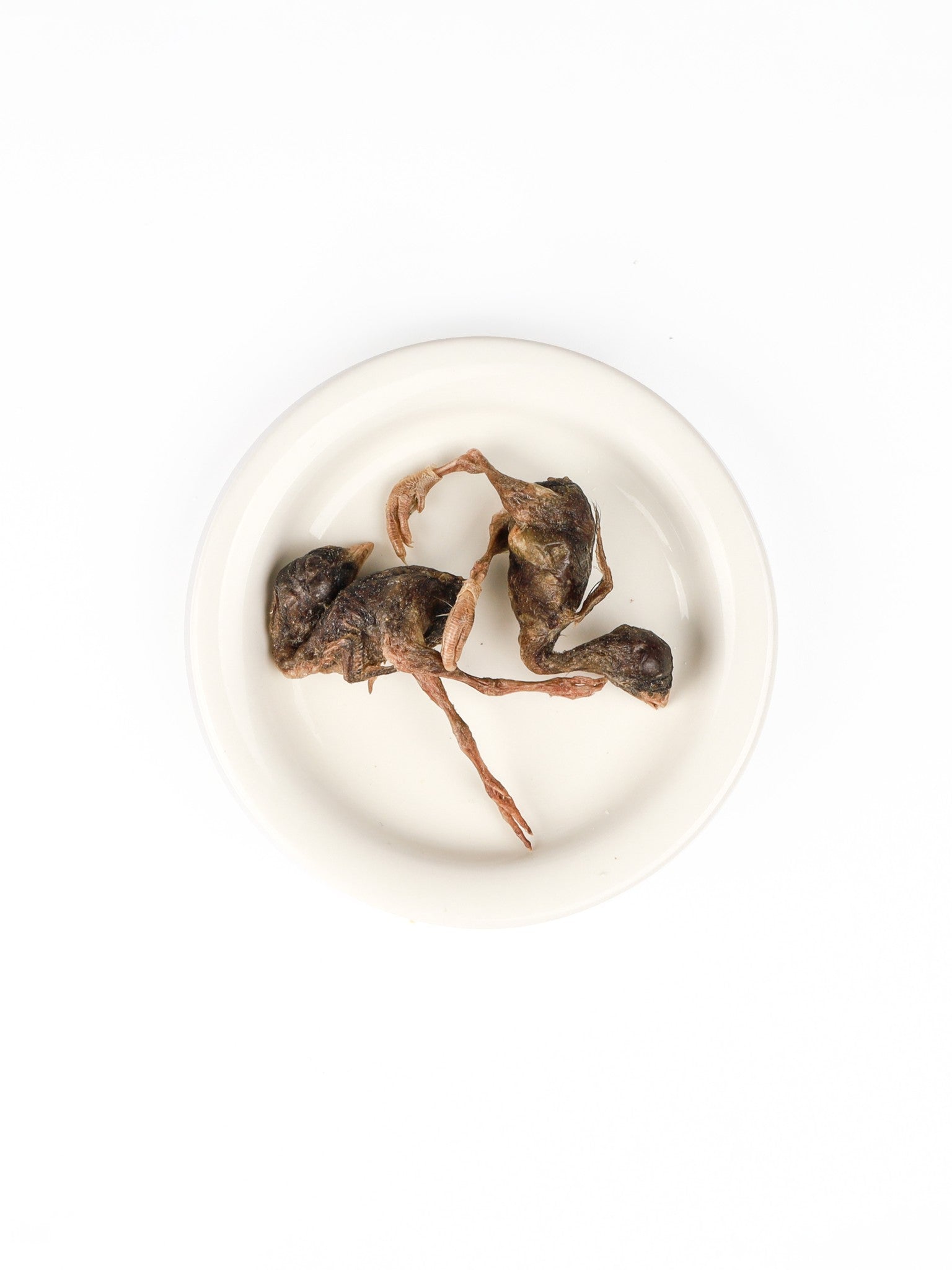 chewtrue-freeze-dried-whole-quail-prey